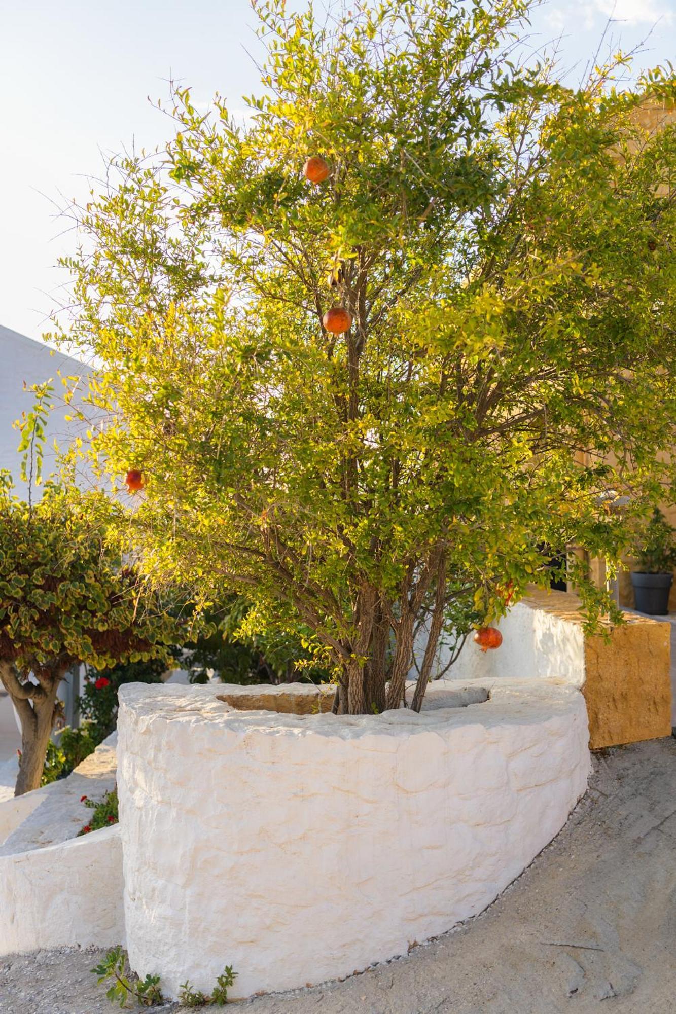 Villa Anton By Cura Villas Collection كالاثاس المظهر الخارجي الصورة